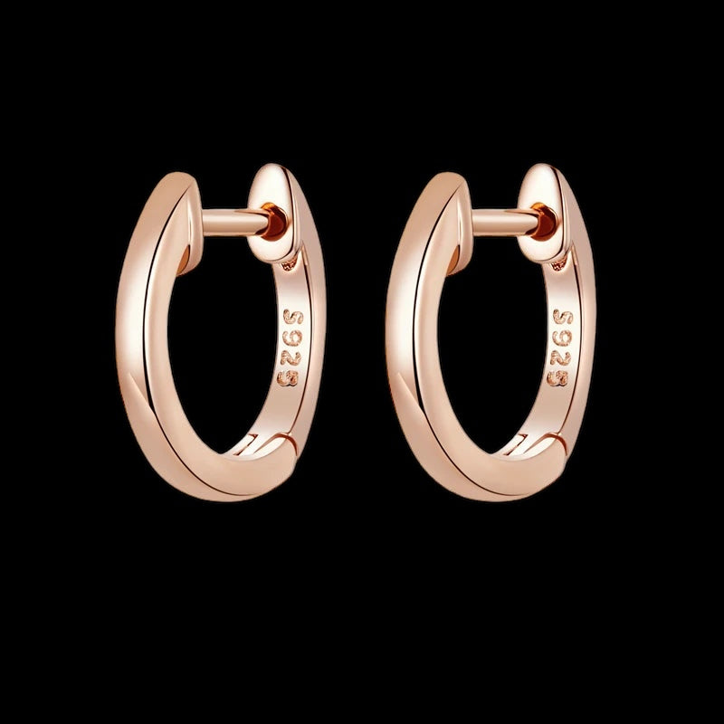925S SILVER "SMALL CIRCLE" OHRRINGE - ICERAIN JEWELRY