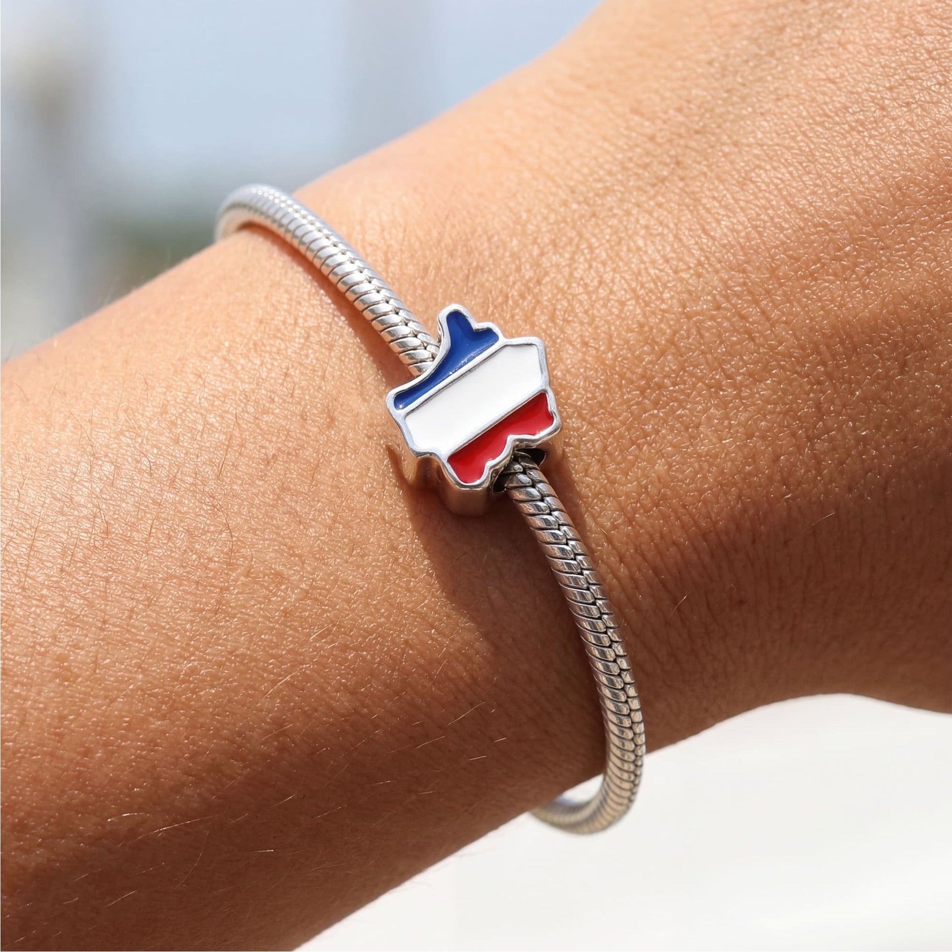 925S SILVER "FRANCE" CHARM - ICERAIN JEWELRY