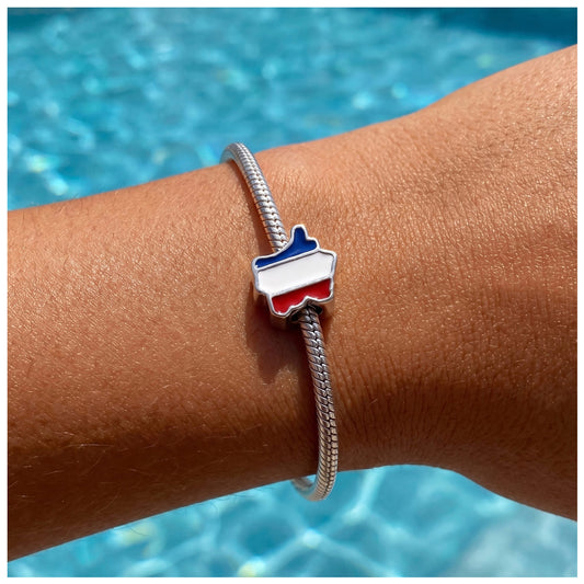 925S SILVER "FRANCE" CHARM - ICERAIN JEWELRY